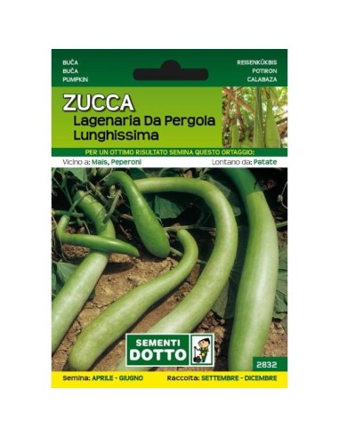 Sementi da Orto Zucca Lageriana da Pergola lunghissima Sem. Dotto