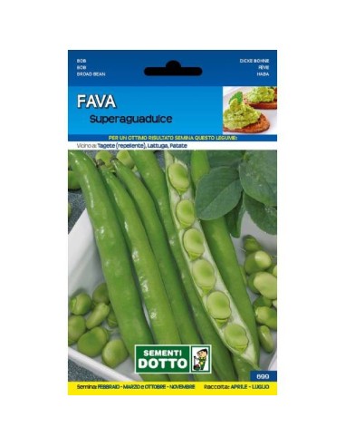 Sementi da Orto Fava da orto Superaguadulce Sem. Dotto