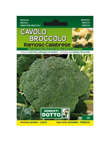 Sementi da Orto Cavolo Broccolo Ramoso Calabrese Sem. Dotto