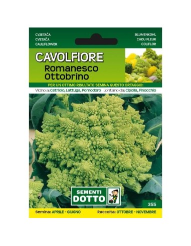 Sementi da Orto Cavolfiore Romanesco Ottobrino Sem. Dotto