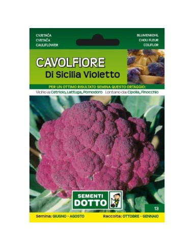 Sementi da Orto Cavolfiore Di Sicilia violetto Sem. Dotto