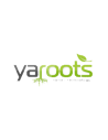 Yaroots